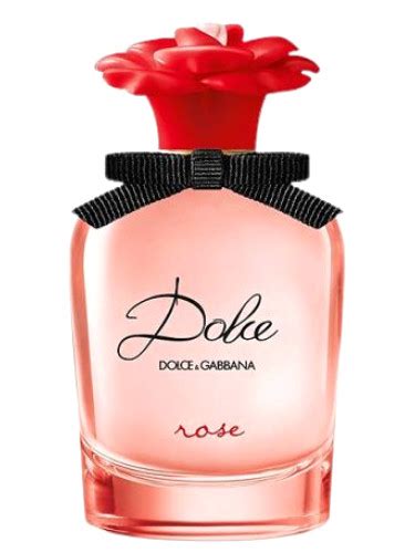 dolce rose de dolce & gabbana|More.